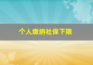 个人缴纳社保下限