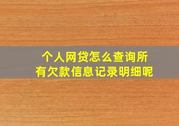 个人网贷怎么查询所有欠款信息记录明细呢