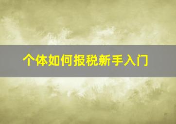 个体如何报税新手入门