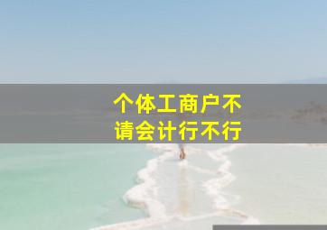 个体工商户不请会计行不行