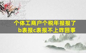 个体工商户个税年报报了b表报c表报不上咋回事