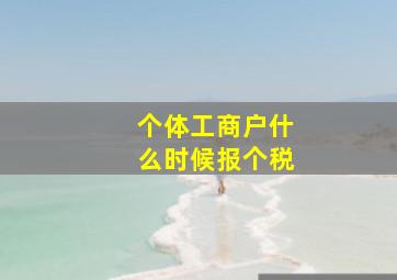 个体工商户什么时候报个税