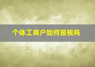 个体工商户如何报税吗