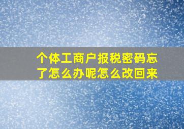 个体工商户报税密码忘了怎么办呢怎么改回来