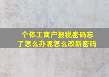 个体工商户报税密码忘了怎么办呢怎么改新密码