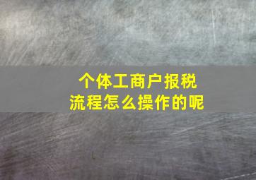 个体工商户报税流程怎么操作的呢