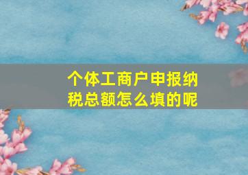 个体工商户申报纳税总额怎么填的呢