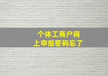 个体工商户网上申报密码忘了