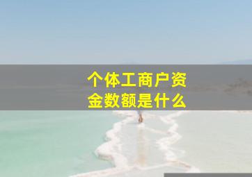 个体工商户资金数额是什么