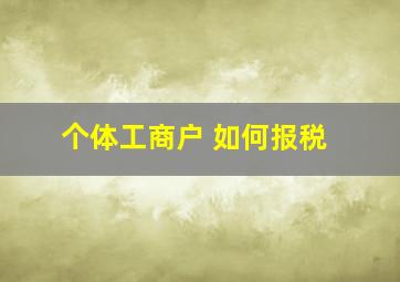 个体工商户 如何报税