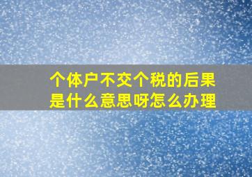 个体户不交个税的后果是什么意思呀怎么办理