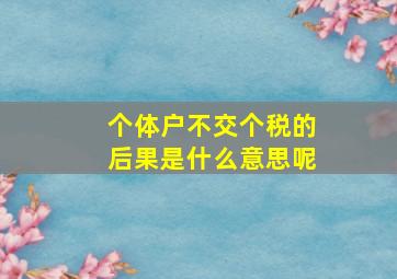 个体户不交个税的后果是什么意思呢