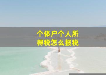 个体户个人所得税怎么报税