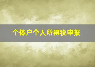 个体户个人所得税申报