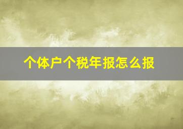 个体户个税年报怎么报