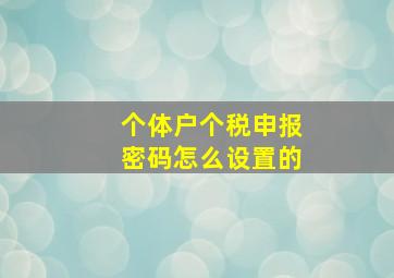 个体户个税申报密码怎么设置的