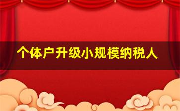 个体户升级小规模纳税人