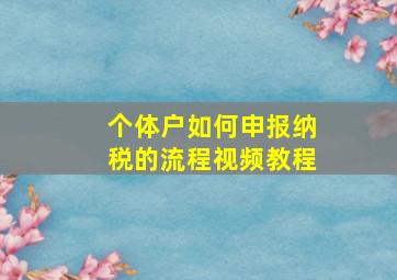 个体户如何申报纳税的流程视频教程