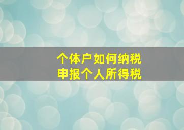 个体户如何纳税申报个人所得税