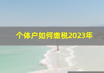 个体户如何缴税2023年