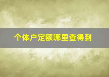 个体户定额哪里查得到