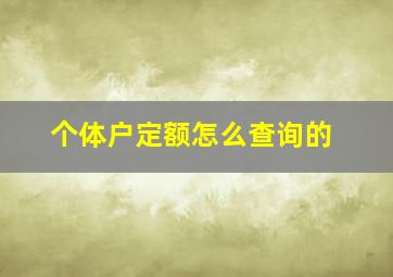 个体户定额怎么查询的