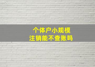 个体户小规模注销能不查账吗