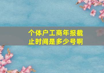 个体户工商年报截止时间是多少号啊