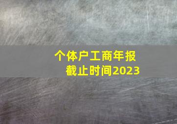 个体户工商年报截止时间2023