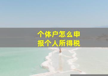 个体户怎么申报个人所得税