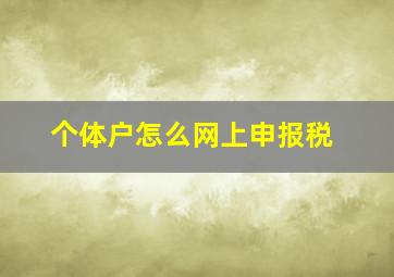 个体户怎么网上申报税