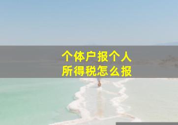 个体户报个人所得税怎么报