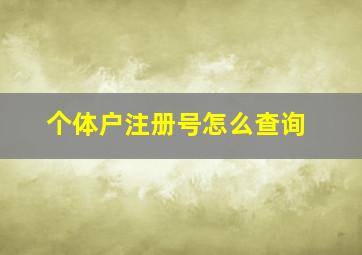 个体户注册号怎么查询