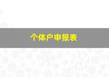 个体户申报表