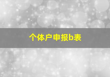 个体户申报b表