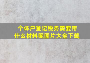 个体户登记税务需要带什么材料呢图片大全下载