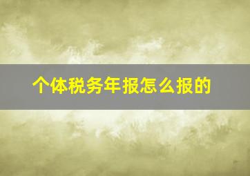 个体税务年报怎么报的