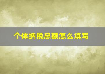 个体纳税总额怎么填写