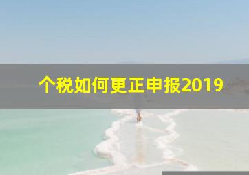 个税如何更正申报2019