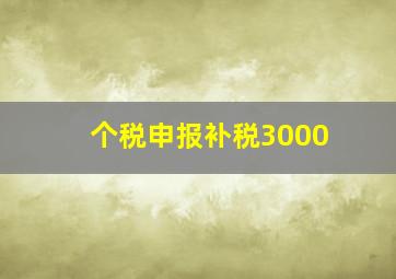 个税申报补税3000