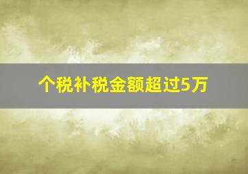 个税补税金额超过5万