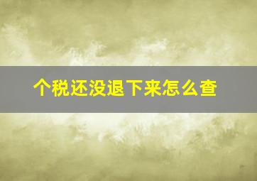 个税还没退下来怎么查