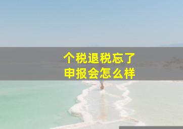 个税退税忘了申报会怎么样