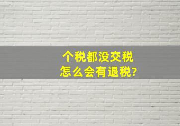 个税都没交税怎么会有退税?