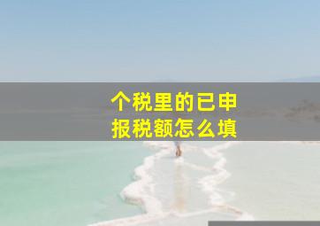 个税里的已申报税额怎么填