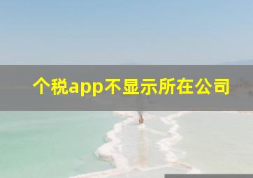 个税app不显示所在公司