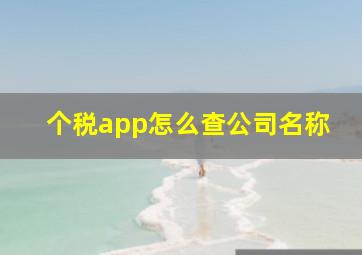 个税app怎么查公司名称