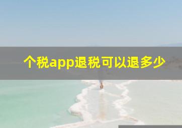 个税app退税可以退多少