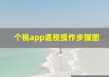 个税app退税操作步骤图