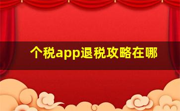 个税app退税攻略在哪